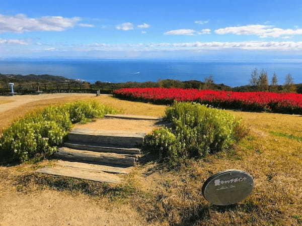 【入園無料】日本にもこんな美しいお花畑が！淡路島の「あわじ花さじき」で季節とりどりのお花畑を楽しもう！1.jpg