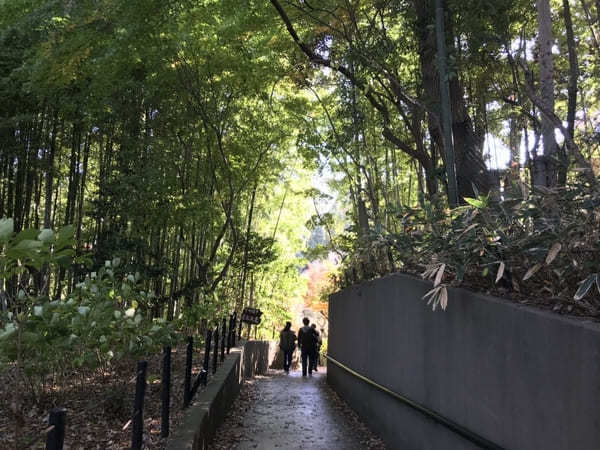 千葉の紅葉名所No.1【本土寺】のオススメ写真スポット＆楽しみ方を伝授！