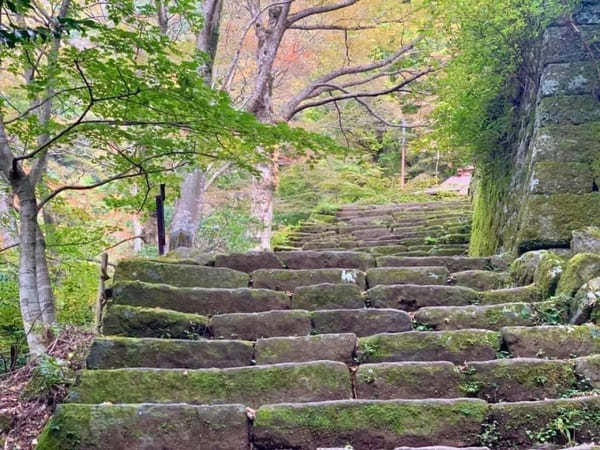 都内からの日帰り登山にも！ケーブルカー無しで楽しむ大山登山のベストコース【神奈川】