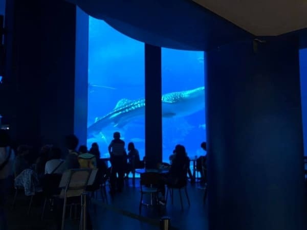 沖縄美ら海水族館だけじゃない！海洋博公園5つの見どころ徹底ガイド