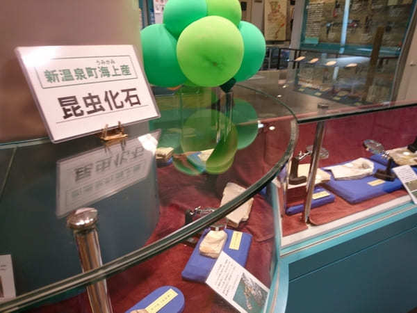 日本初の昆虫化石博物館【兵庫県】おもしろ昆虫化石館の見どころ紹介