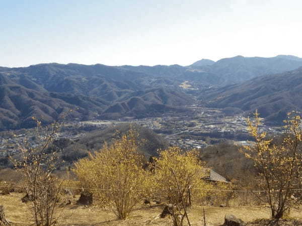 【秩父】尾ノ内氷柱と宝登山で冬ならではの観光を！ご当地グルメも味わって！1.jpg