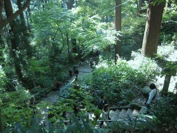 芭蕉も登った山寺で悪縁を断ち切る？！山形のパワースポット「立石寺」