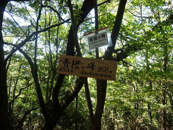 【奈良】吉野山最高峰・青根ヶ峰を目指しながら世界遺産の神社仏閣巡り