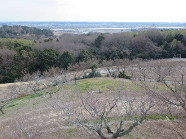 【兵庫県】綺麗な梅が見られるオススメスポット14選！