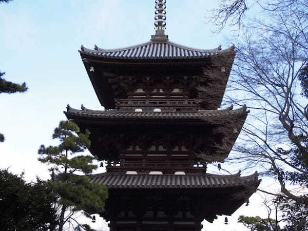 庭園に漂う梅のかほり【横浜・三渓園】の観梅会で春を感じよう1.jpg