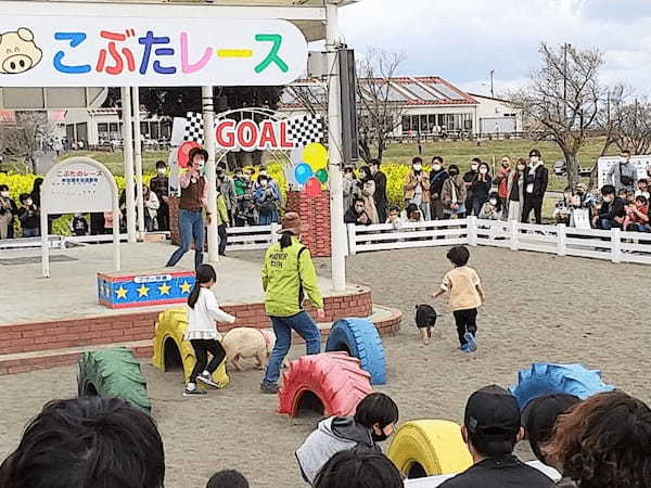 【千葉】都内から日帰りOK「マザー牧場」完全ガイド！遊園地やグランピングも◎1.jpg