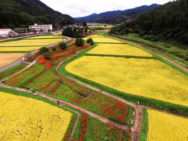 真っ赤に彩られた「簑沢彼岸花公園」と「白河の関跡」をたどる【栃木＆福島】1.jpg