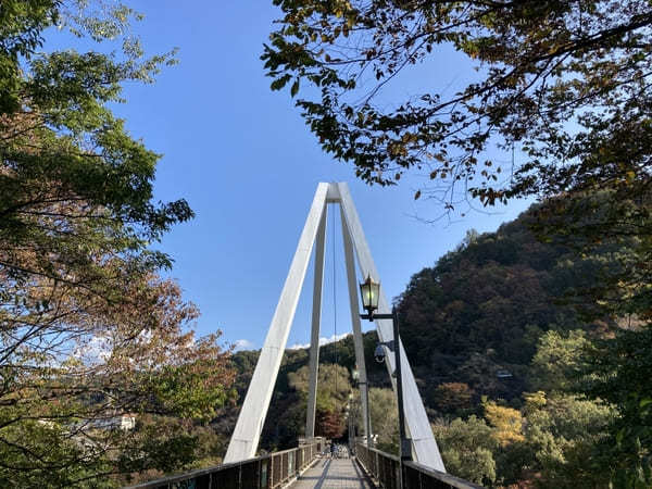 【群馬県】渓谷美と菊で有名な「ながめ公園」と周辺オススメ散策スポット