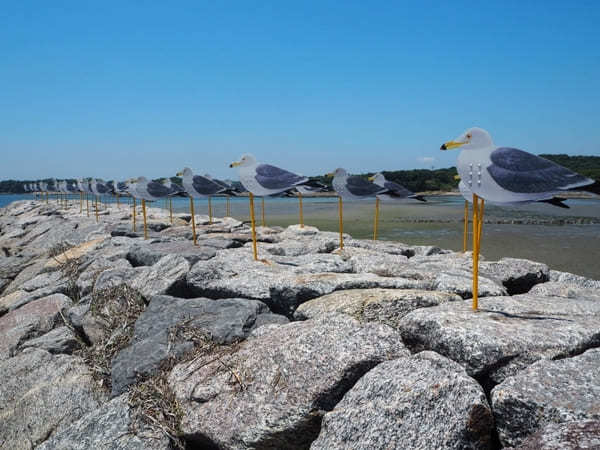 癒しとアートの島【愛知・佐久島】を徹底解説！