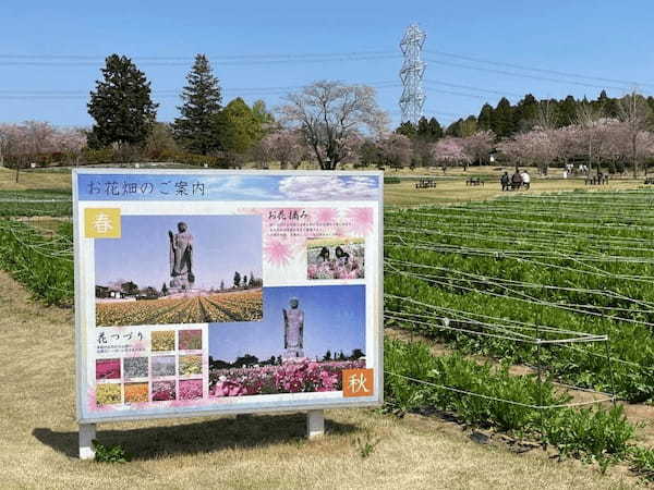 【茨城】世界最大の「牛久大仏」の見どころ＆楽しみ方6選1.jpg