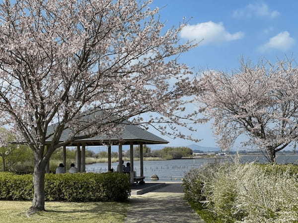 【茨城】オランダ風車とチューリップの穴場スポット「霞ヶ浦総合公園」！1.jpg