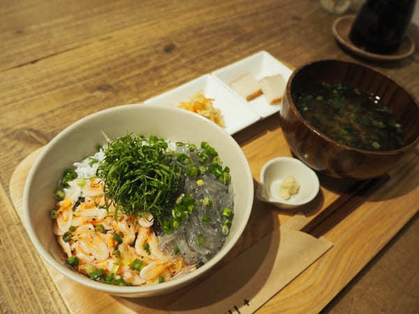 【静岡】食とアートと自然を楽しむ！「MOA美術館」&「静岡市美術館」と周辺スポット