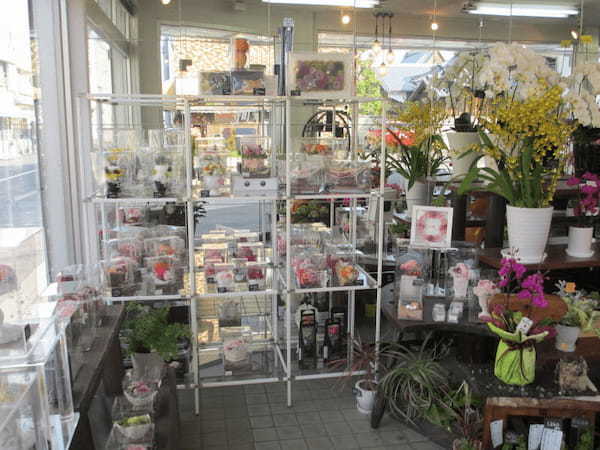 今治市のおしゃれな花屋11選！便利な駅前店やアレンジ花束が人気な店も！