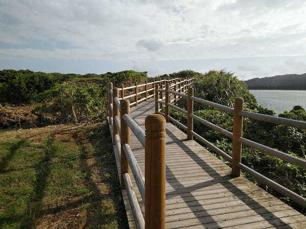 手つかずの大自然が広がる西表島のおすすめ観光スポット5選
