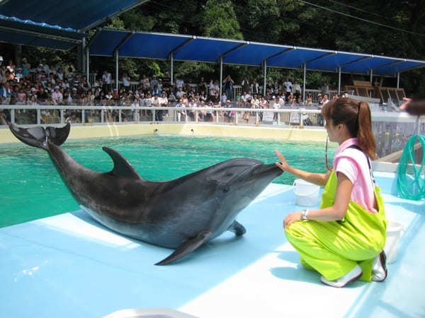  四国地方の人気水族館TOP9！みんなが行っている水族館ランキング