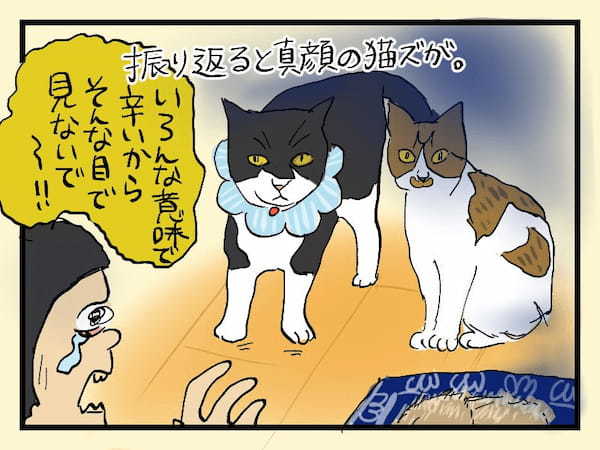 ＜猫漫画＞ギャー！夜中に猫をなでたら…実はとんでもないものだった