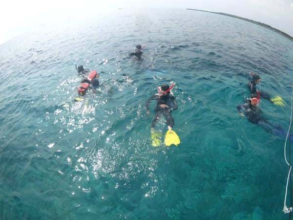 「幻の島」に上陸！シュノーケリングも楽しめる！【オーシャンズ石垣島】