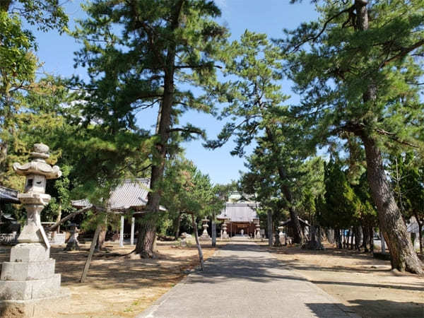 四国の合格祈願ならここ！縁結びもできる【香川】滝宮天満宮