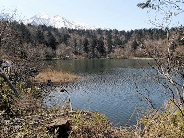 【北海道】1日でスムーズに1周！利尻島モデルコース1.jpg