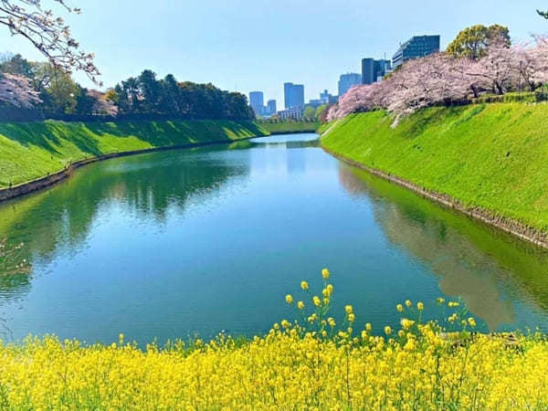 東京23区内の桜の名所！絶対に外さないお花見スポット7選