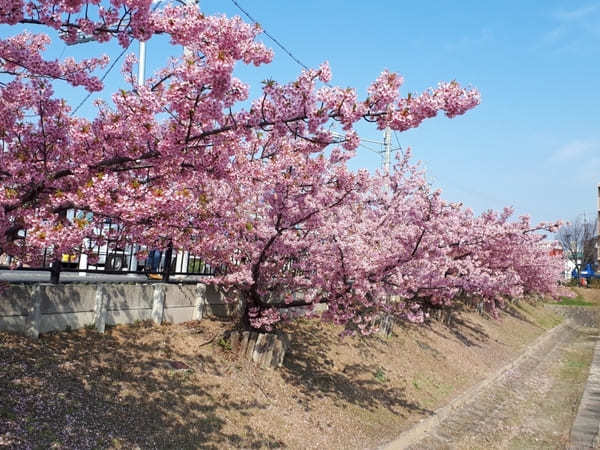 【愛知・大府】金メダル量産の街、健康都市「大府」の二ツ池公園と金メダル神社、げんきの郷