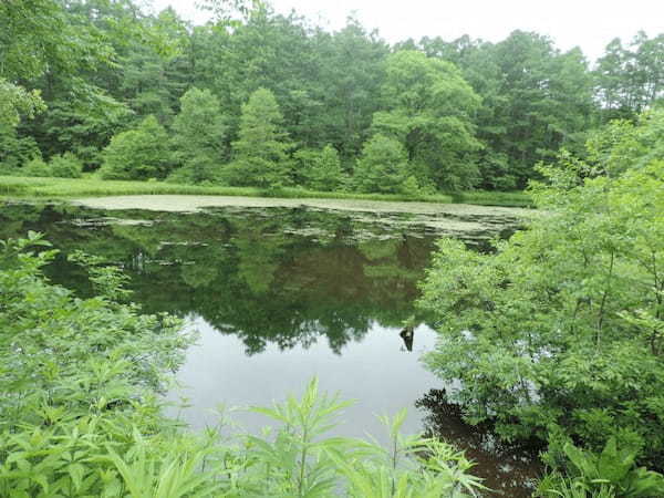 長野県の人気観光地【戸隠】の魅力！