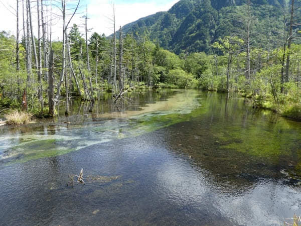 【上高地】美しい自然を大満喫！「かっぱ橋」から「明神池」を散策！