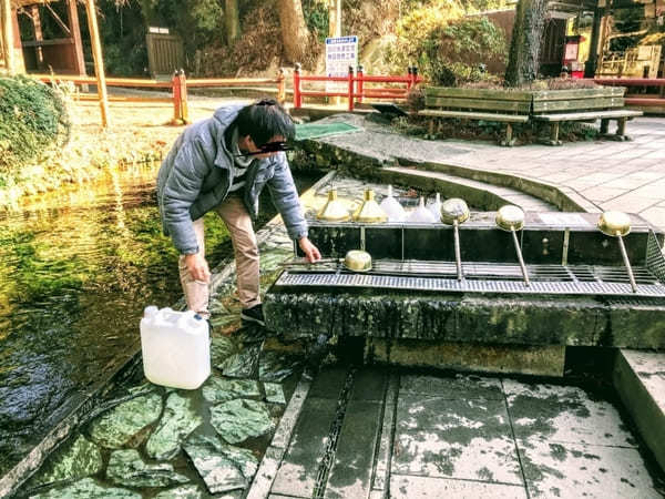 【熊本】阿蘇の白川水源で癒されよう！上質な湧水は持ち帰りもOK！