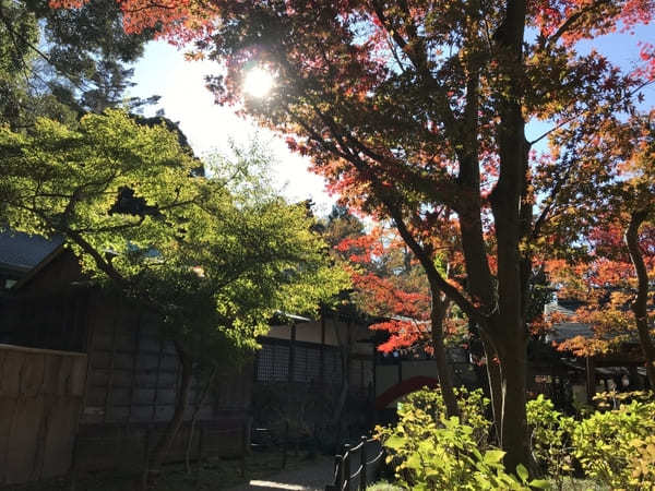 千葉の紅葉名所No.1【本土寺】のオススメ写真スポット＆楽しみ方を伝授！