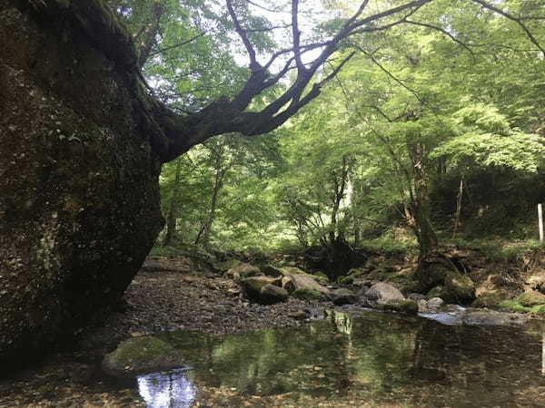 『釣りキチ三平』の映画の舞台！自然豊かな田舎でストレス解消。心も身体も癒される旅に出よう【秋田・五城目町】