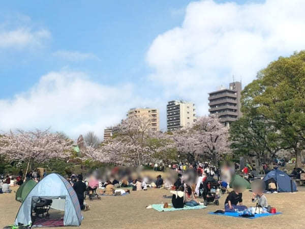 東京23区内の桜の名所！絶対に外さないお花見スポット7選