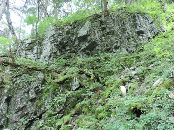 【上高地】美しい自然を大満喫！「かっぱ橋」から「明神池」を散策！