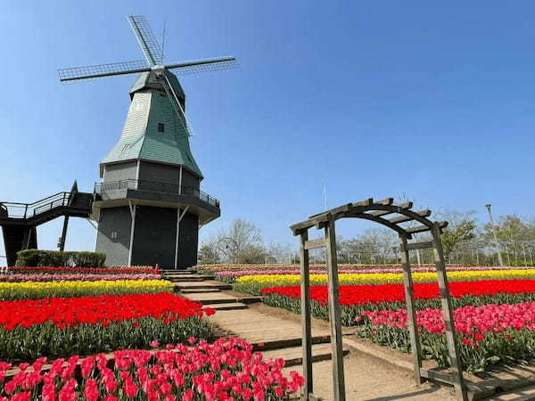 【茨城】オランダ風車とチューリップの穴場スポット「霞ヶ浦総合公園」！1.jpg