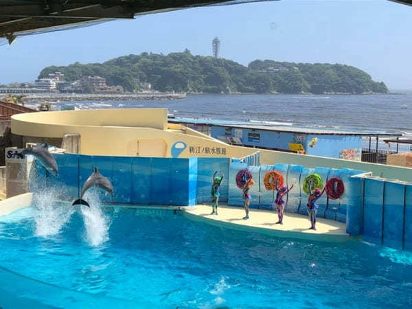 江の島・鎌倉フリーパスでお得に観光♪日帰り旅徹底ガイド【江の島編】