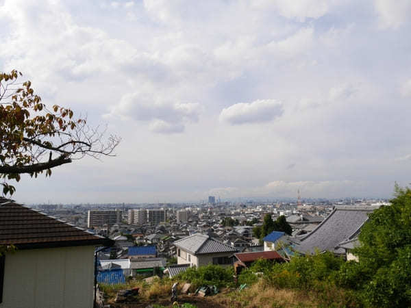 【大阪】運気アップや厄除けで知られる「恩智神社」と周辺を散策