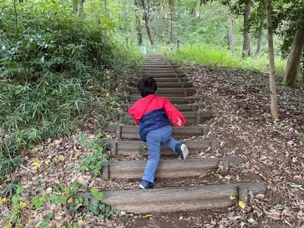 子供と一緒にお散歩気分で巡れる！3つの山を有する「都立浅間山公園」へ【府中市】