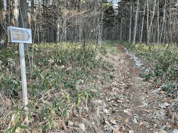 【北海道・十勝】気軽に山歩きが楽しめる！国見山の全6コースを紹介1.jpg