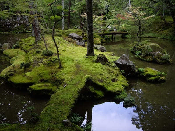 京都でおすすめの寺・神社49選！観光客に人気＆世界遺産の寺社リスト