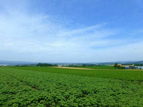 【北海道】美瑛だけじゃない！道東で感じる丘の絶景