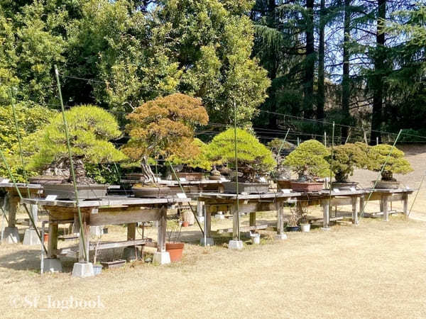 【東京・赤坂】豪華絢爛！おもてなしの館、赤坂迎賓館