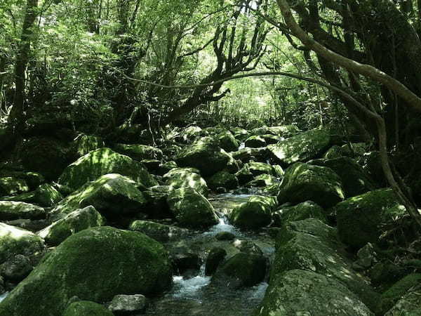 鹿児島といえば？思い浮かぶ観光・グルメなど有名なものランキング