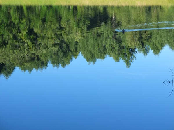 一度は見たい！息をのむ絶景！【長野・御射鹿池】