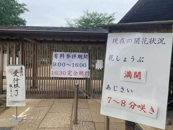 5万本の紫陽花と6千本の花菖蒲！千葉県のあじさい寺【本土寺】へ行こう1.jpg