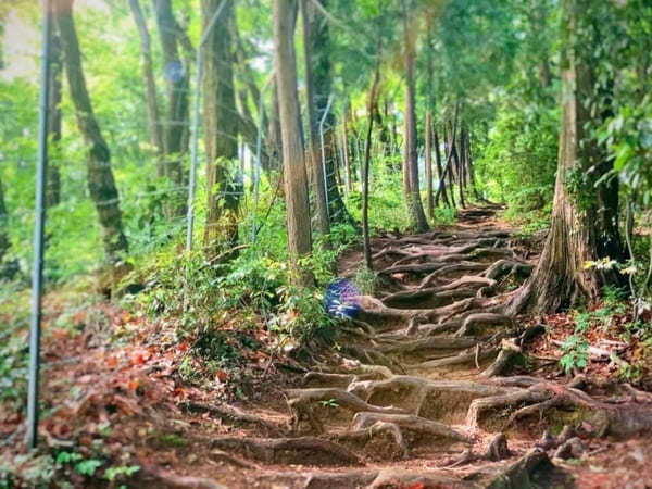 難易度順！東京のオススメ登山コース10選～低山から都内最高峰まで～