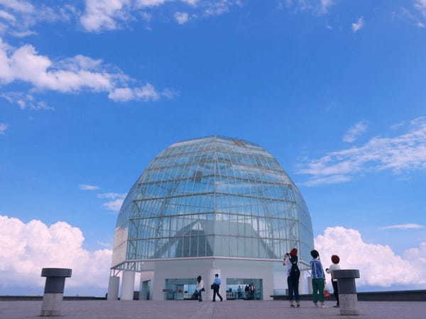 東京の人気水族館TOP5！都内の水族館をランキングで一挙紹介1.jpg