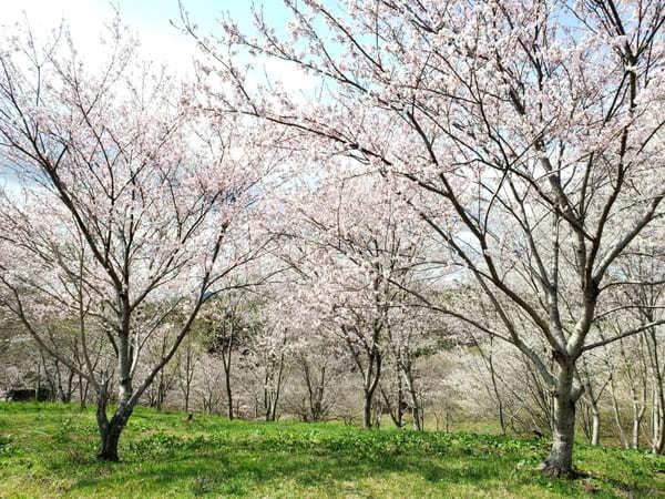 岐阜県の山間にある町【八百津】のおすすめスポット