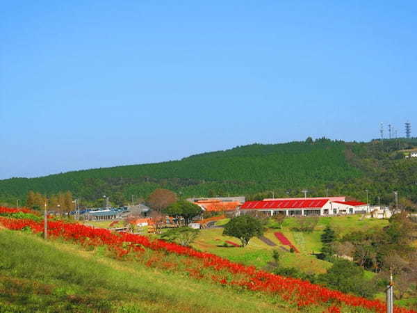 千葉県の人気観光スポットTOP30！旅行好きが行っている観光地ランキング25.jpg