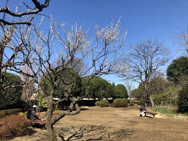 【東京・小平】新田村落の景観を再現！小平ふるさと村＆周辺の見どころ