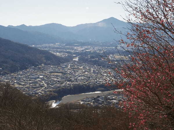 【秩父】尾ノ内氷柱と宝登山で冬ならではの観光を！ご当地グルメも味わって！1.jpg